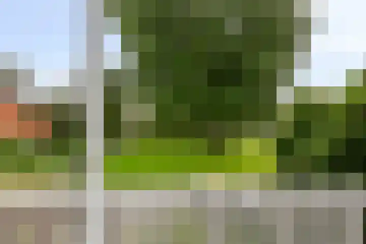 Schweitzerstraat 19 Assen thumbnail 22