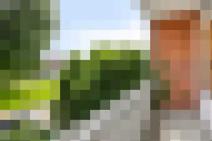 Schweitzerstraat 19 Assen thumbnail 23