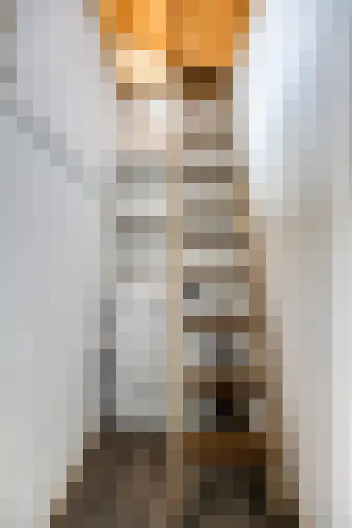 Schweitzerstraat 19 Assen thumbnail 28
