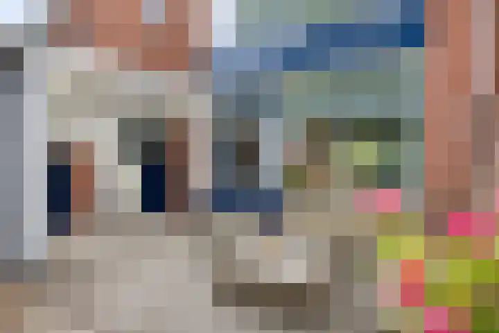 Schweitzerstraat 19 Assen thumbnail 32