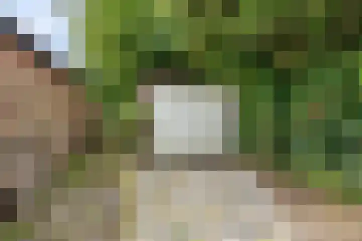 Schweitzerstraat 19 Assen thumbnail 37