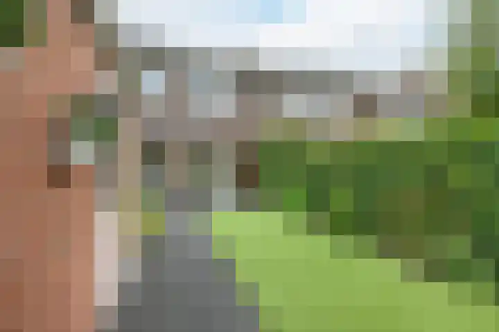 Schweitzerstraat 38 Hoogeveen thumbnail 43