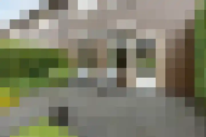 Schweitzerstraat 38 Hoogeveen thumbnail 44