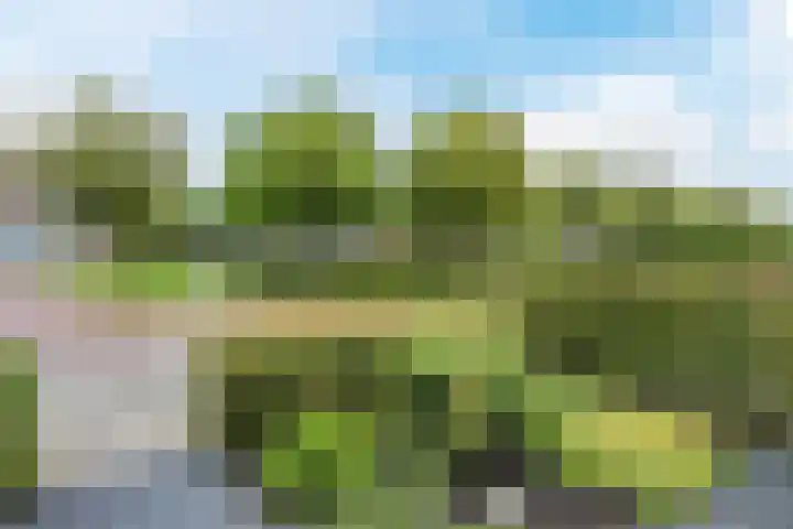 Schweitzerstraat 38 Hoogeveen thumbnail 46