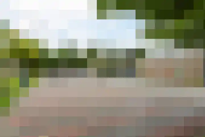 Schweitzerstraat 38 Hoogeveen thumbnail 49