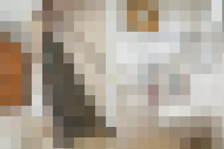 Schweitzerstraat 46 Eygelshoven thumbnail 6