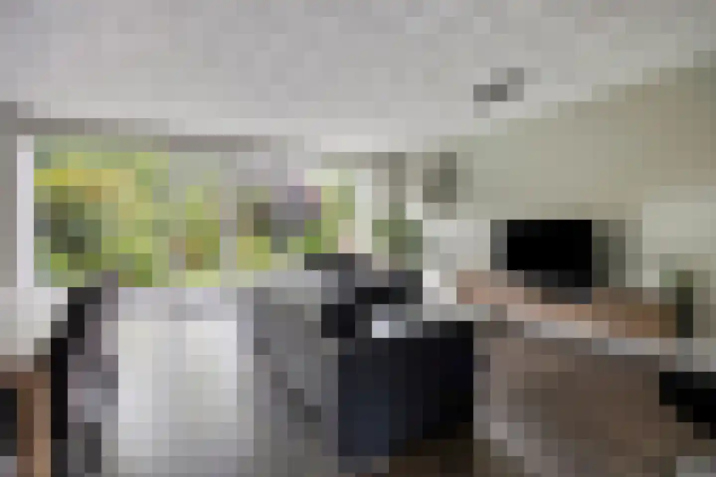 Schweitzerstraat 49 Hoofddorp thumbnail 11
