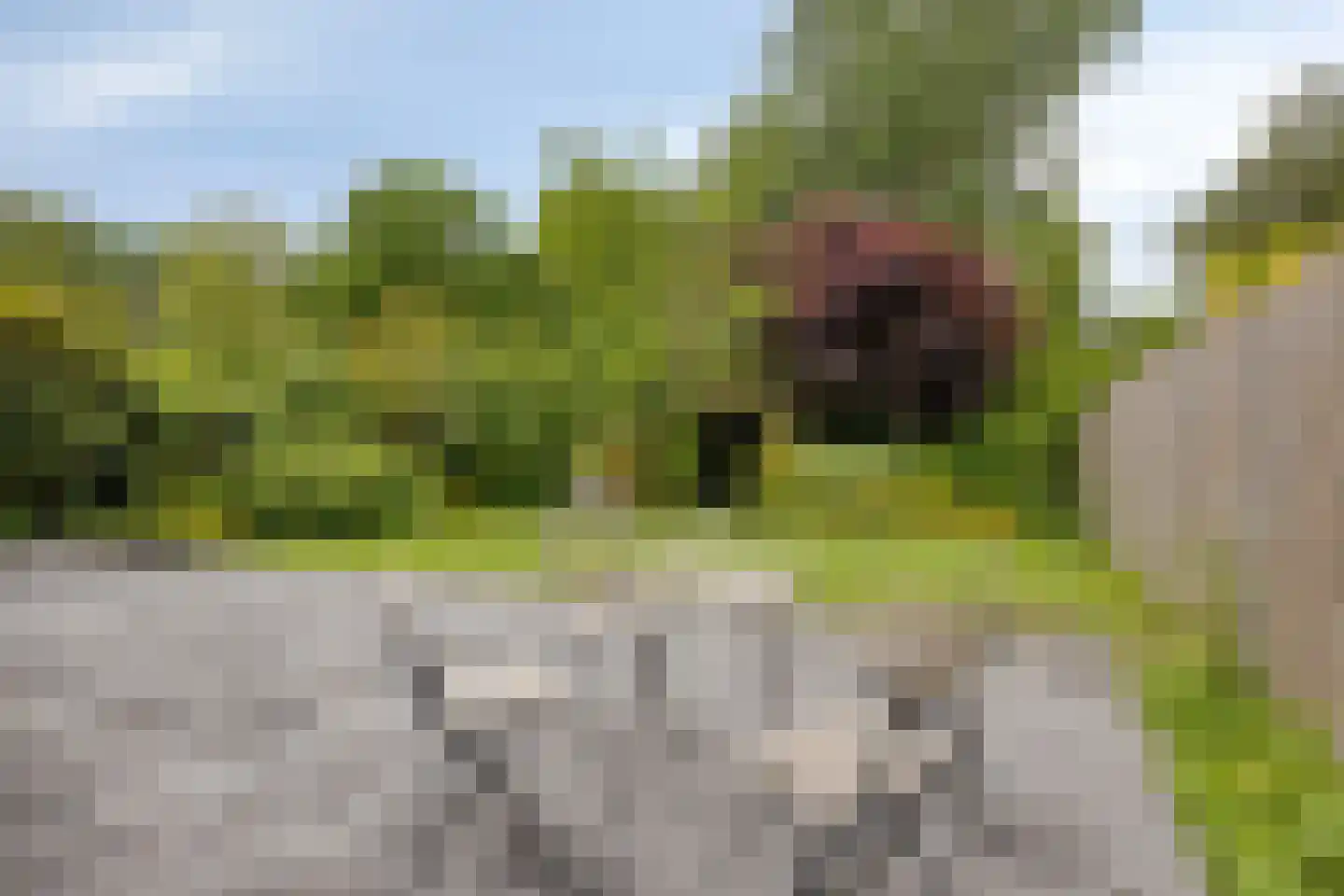 Schweitzerstraat 49 Hoofddorp thumbnail 33