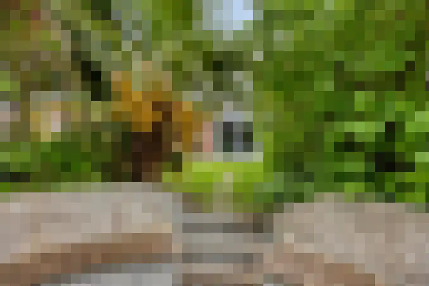 Schweitzerstraat 49 Hoofddorp thumbnail 36
