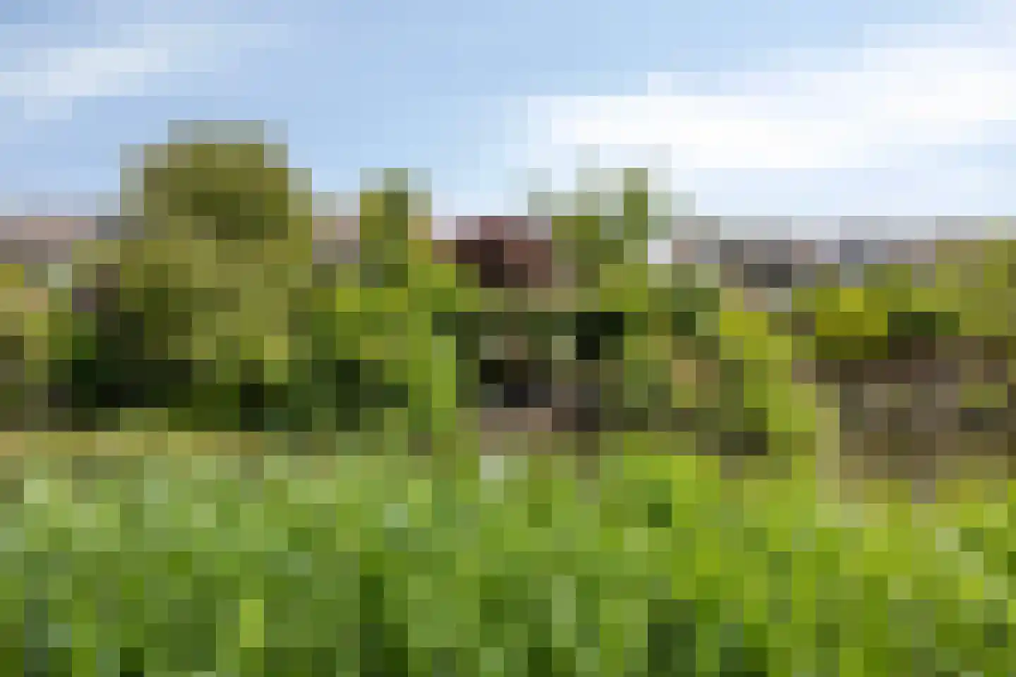 Schweitzerstraat 49 Hoofddorp thumbnail 46