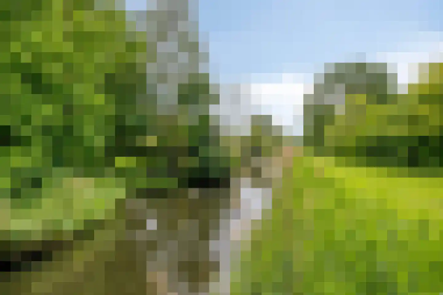 Schweitzerstraat 49 Hoofddorp thumbnail 47