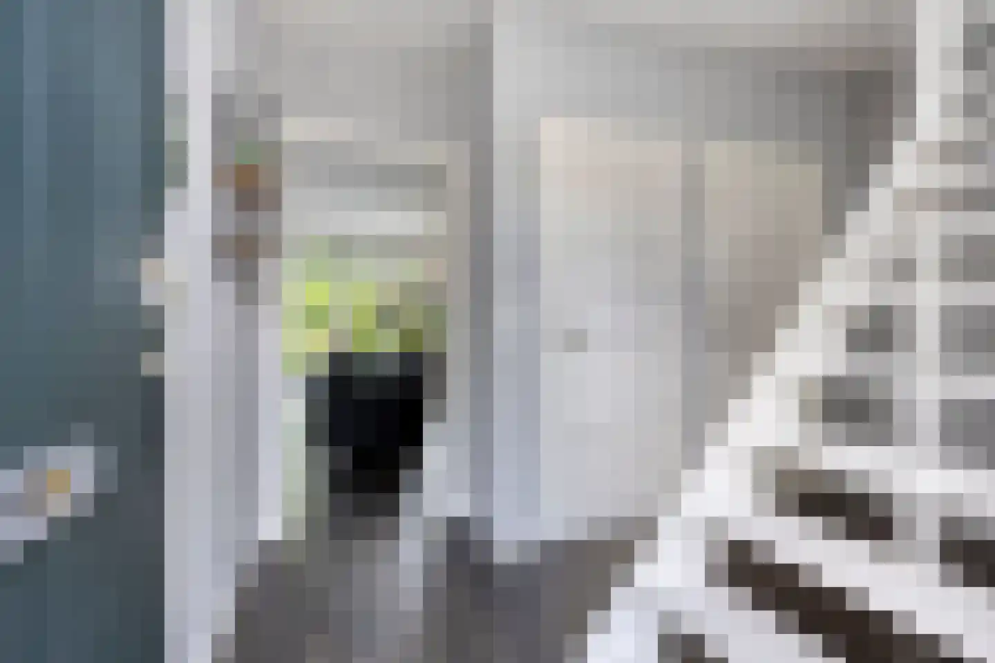 Schweitzerstraat 49 Hoofddorp thumbnail 8