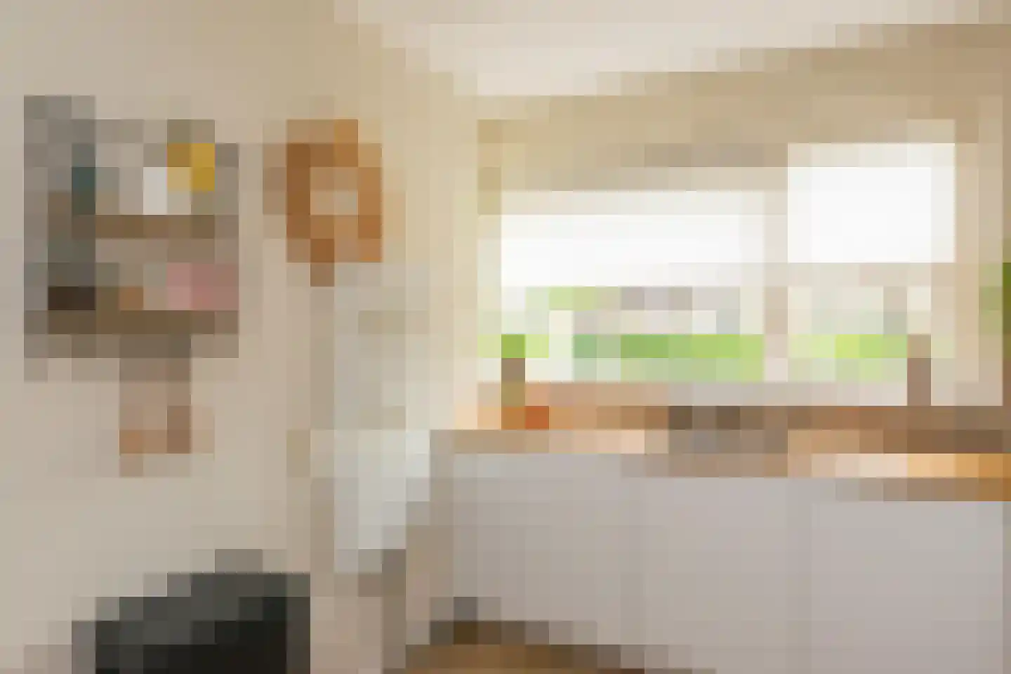Schweitzerstraat 50 Hoogeveen thumbnail 12