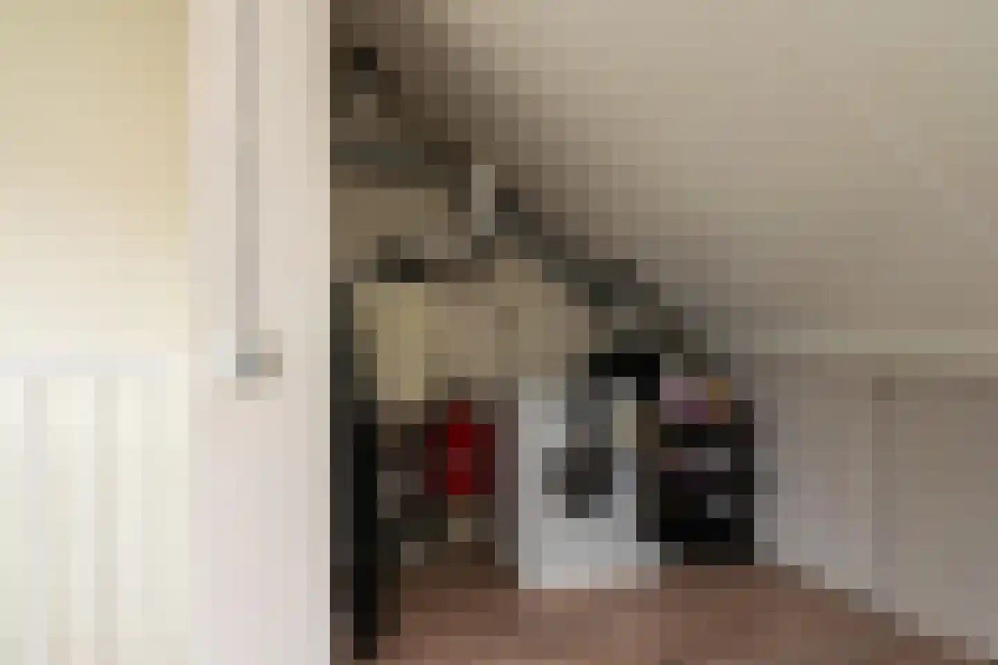 Schweitzerstraat 50 Hoogeveen thumbnail 32