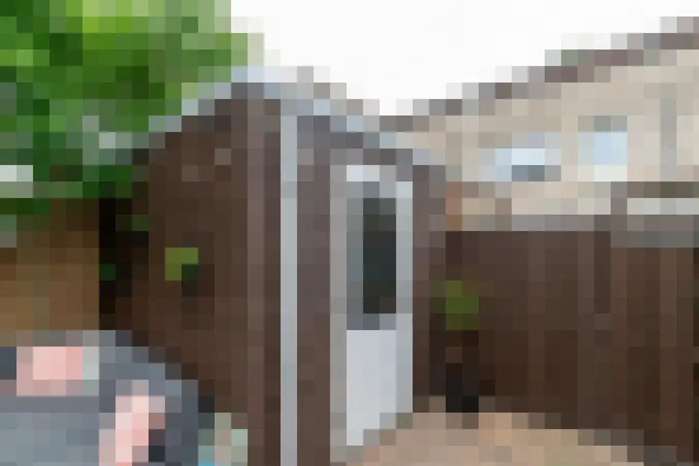 Schweitzerstraat 50 Hoogeveen thumbnail 42