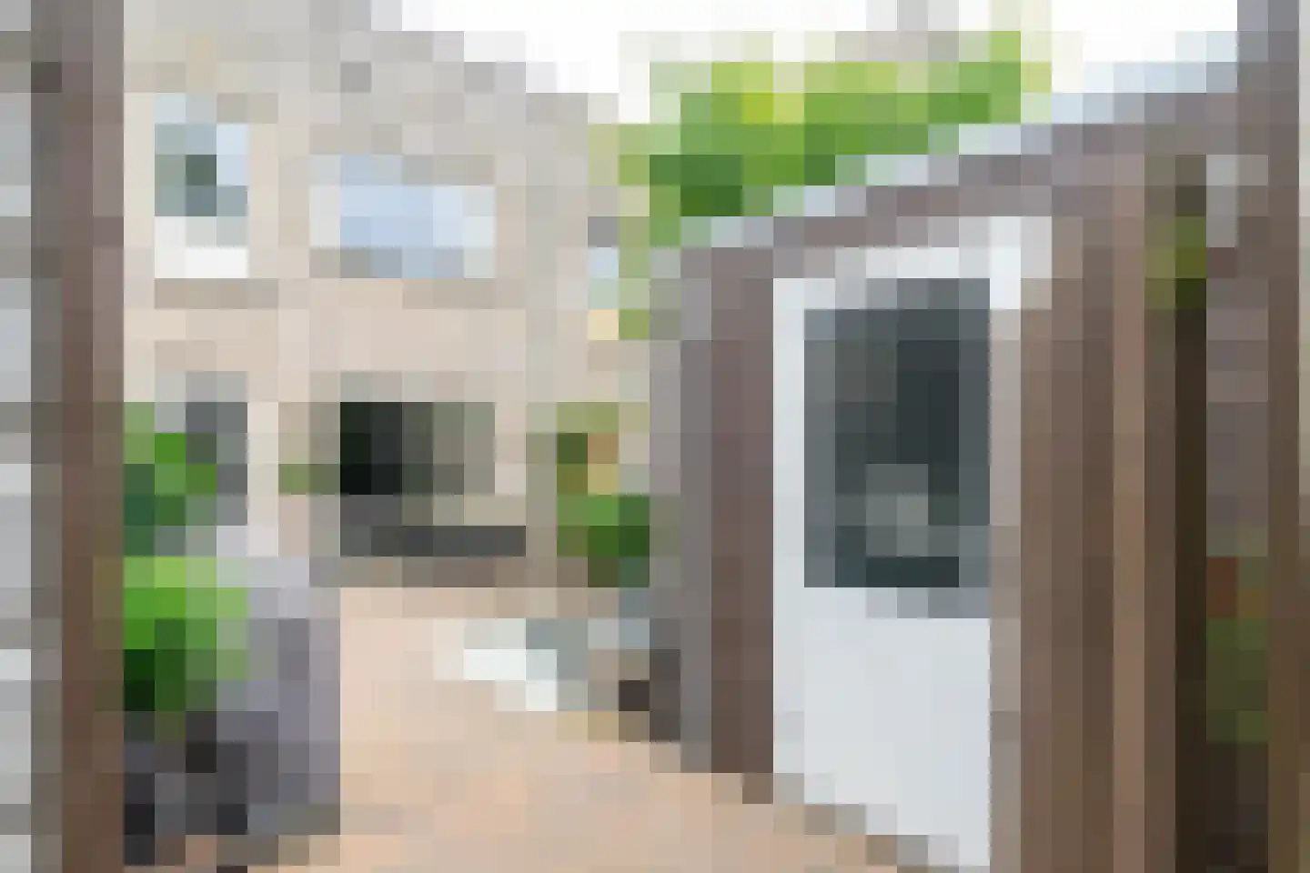 Schweitzerstraat 50 Hoogeveen thumbnail 43