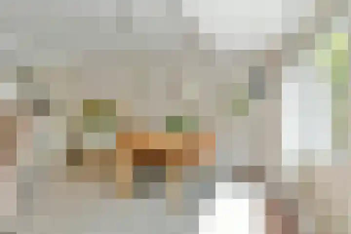 Schweitzerstraat 58 Hoofddorp thumbnail 8