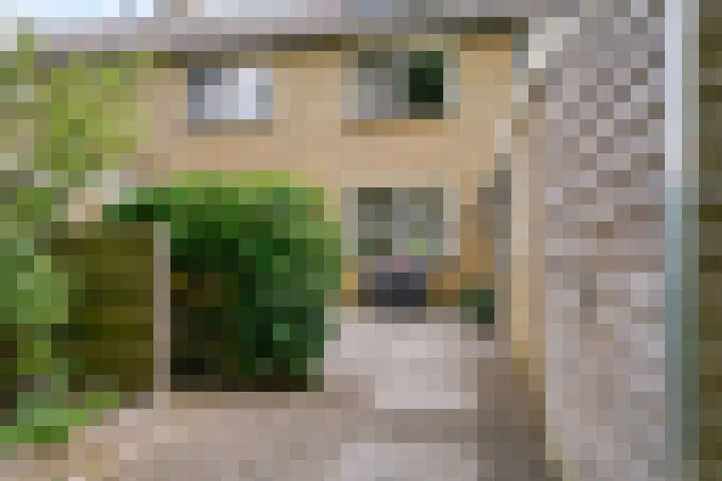 Schweitzerstraat 59 Kudelstaart thumbnail 37