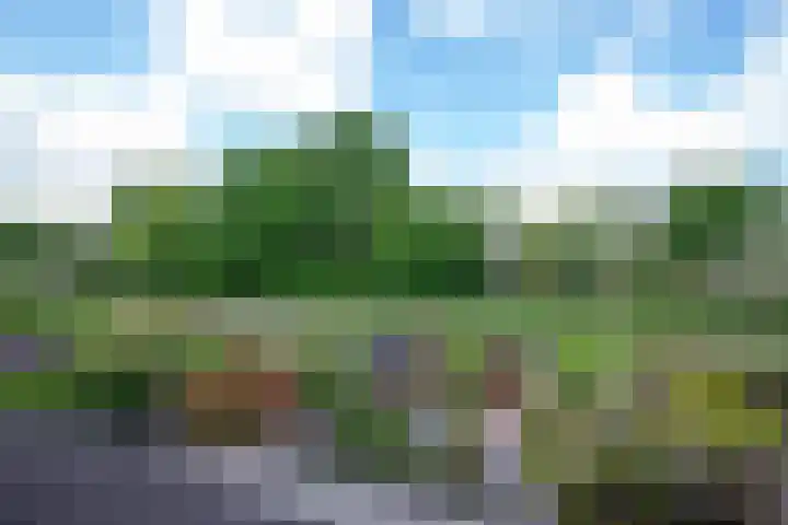 Schweitzerstraat 71 Hoofddorp thumbnail 43