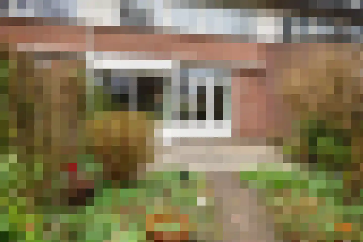 Schweitzerstraat 91 Hoofddorp thumbnail 35