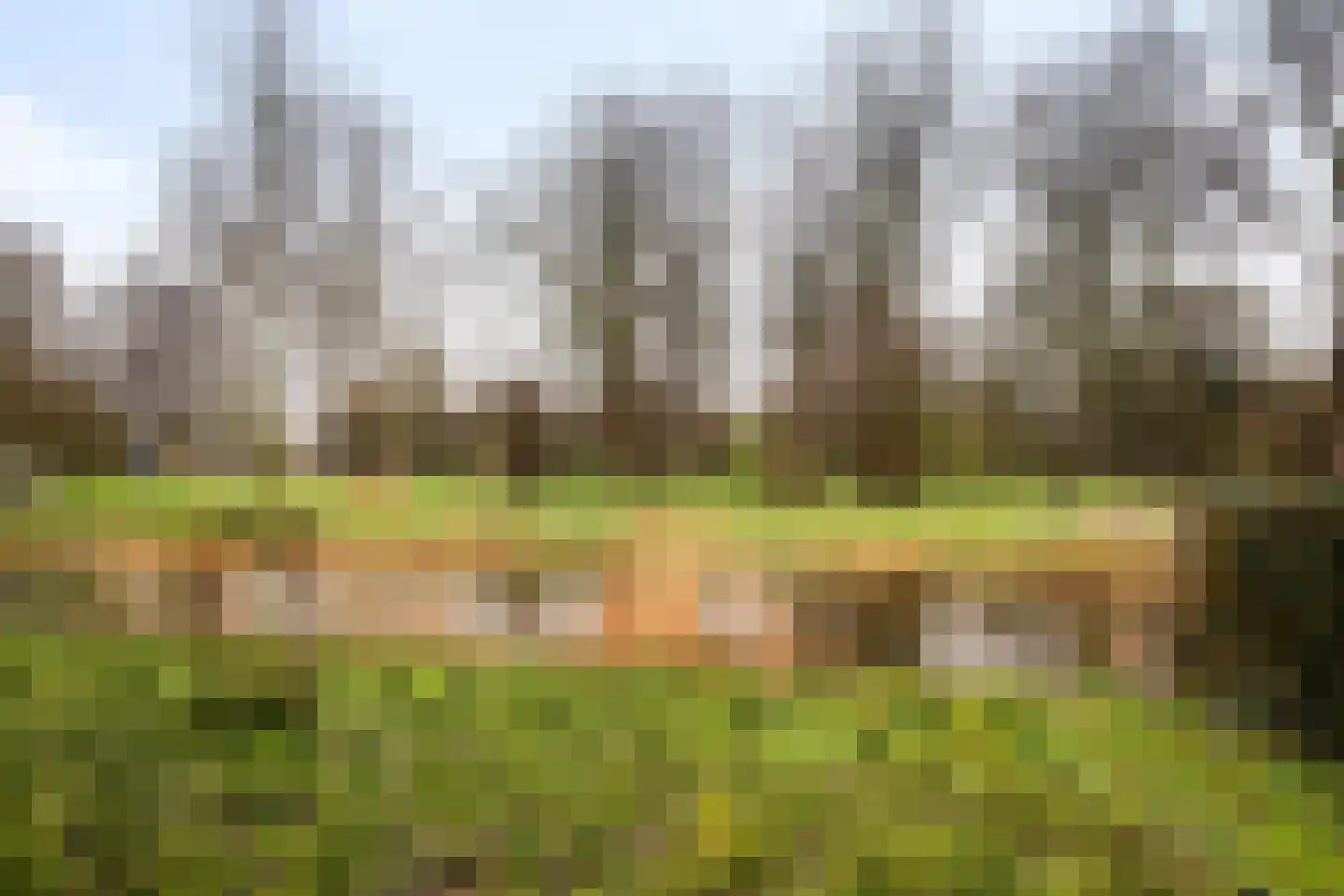 Schweitzerstraat 91 Hoofddorp thumbnail 37