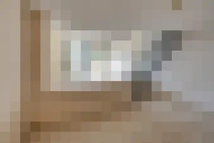 Schweitzerstraat 96 Kudelstaart thumbnail 12