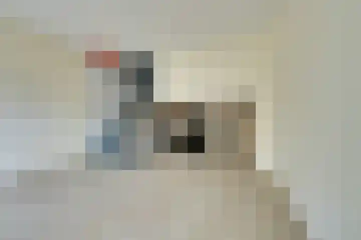 Schweitzerstraat 96 Kudelstaart thumbnail 16