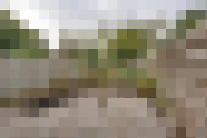 Schweitzerstraat 96 Kudelstaart thumbnail 22