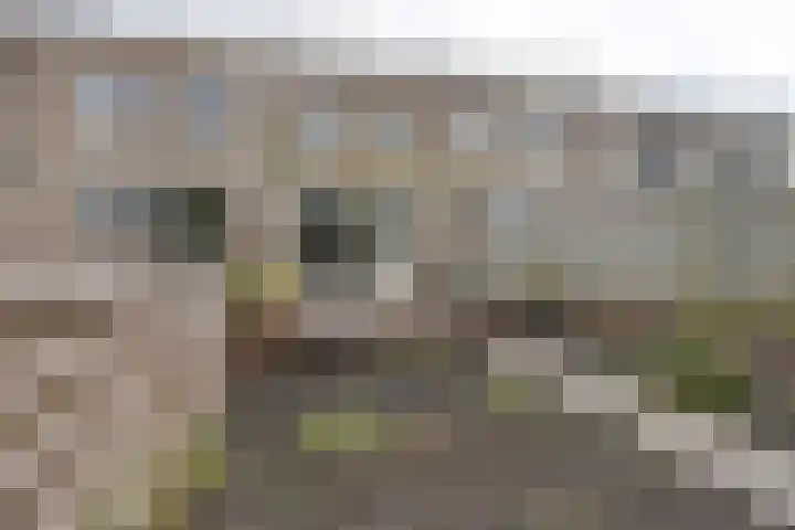 Schweitzerstraat 96 Kudelstaart foto 3