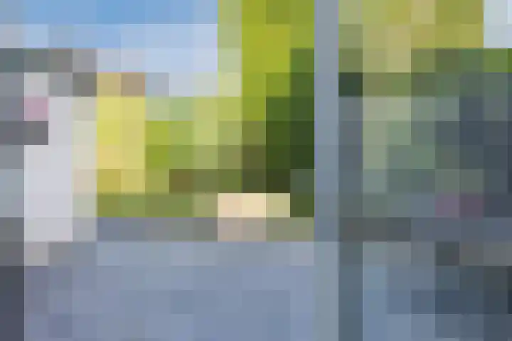 Schweitzerweg 29 Lochem thumbnail 31
