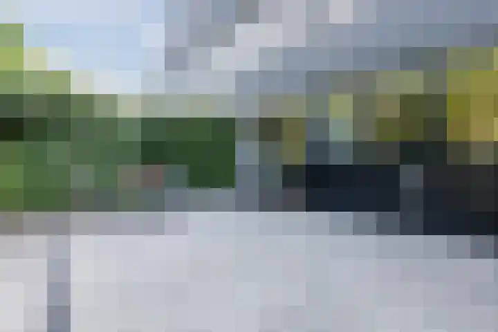 Schweitzerweg 29 Lochem thumbnail 32