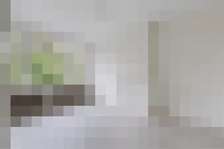 Schwerinkade 34 Den Haag thumbnail 10
