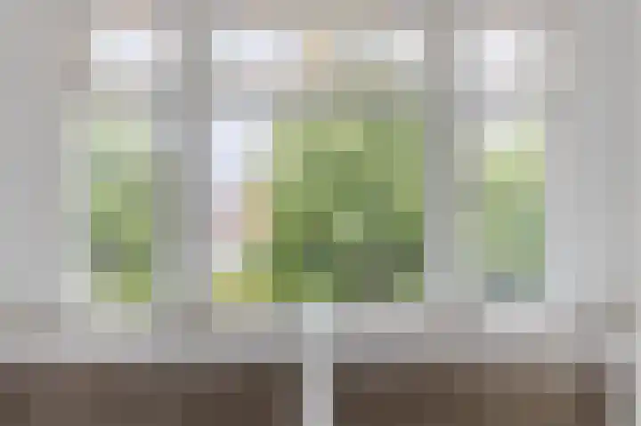 Schwerinkade 34 Den Haag thumbnail 12