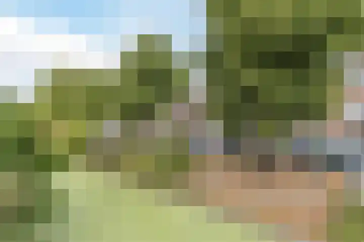 Schwerinkade 34 Den Haag thumbnail 28