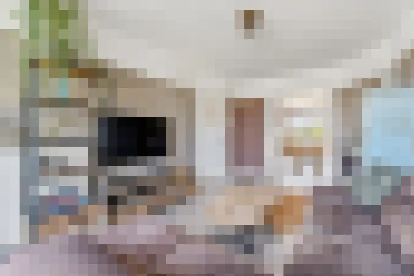 Schwerinkade 37 Den Haag thumbnail 12