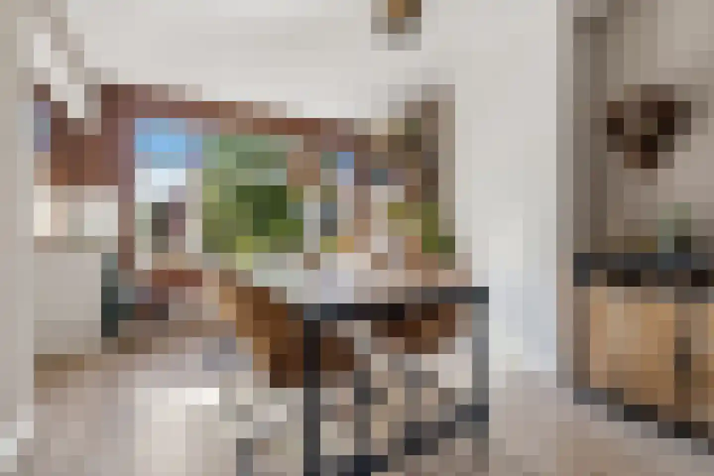 Schwerinkade 37 Den Haag thumbnail 15