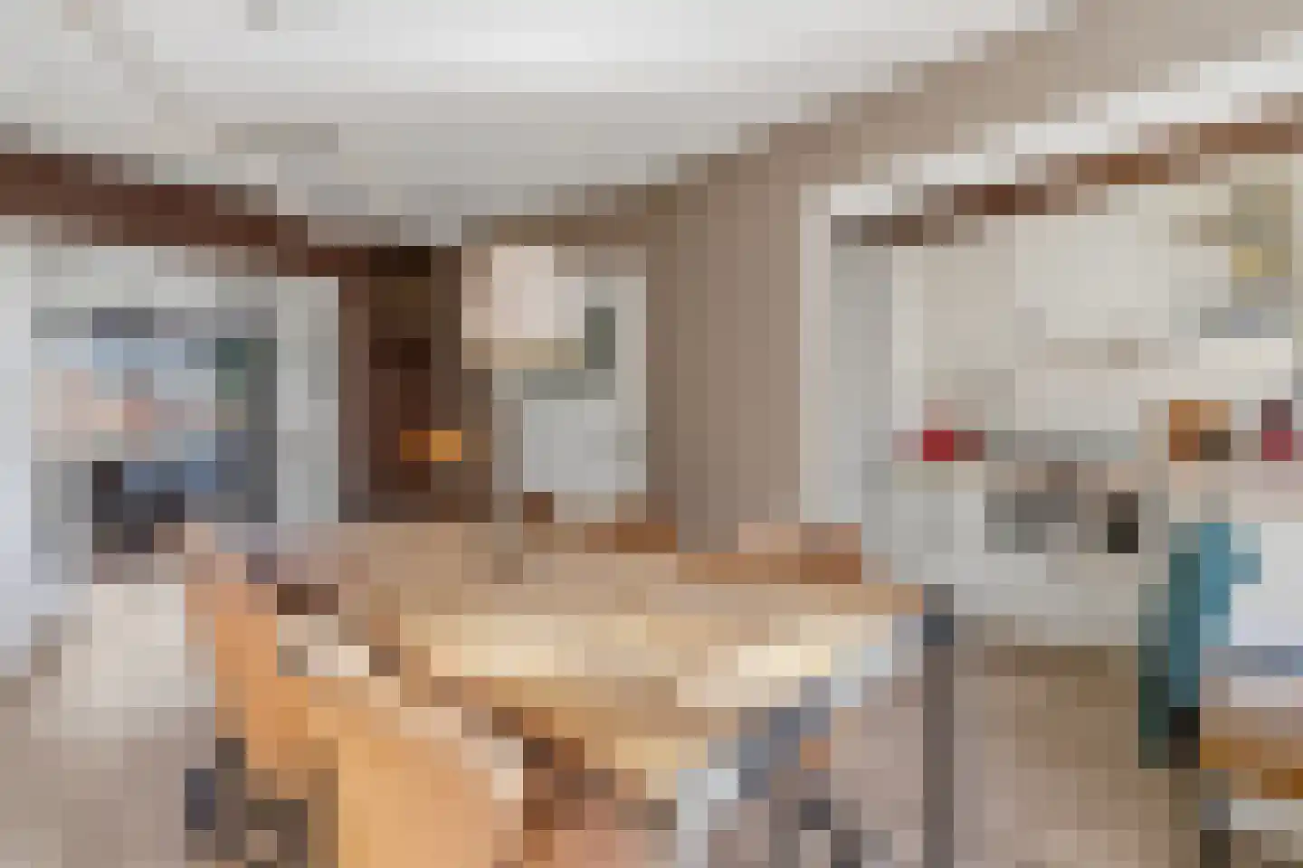 Schwerinkade 37 Den Haag thumbnail 17