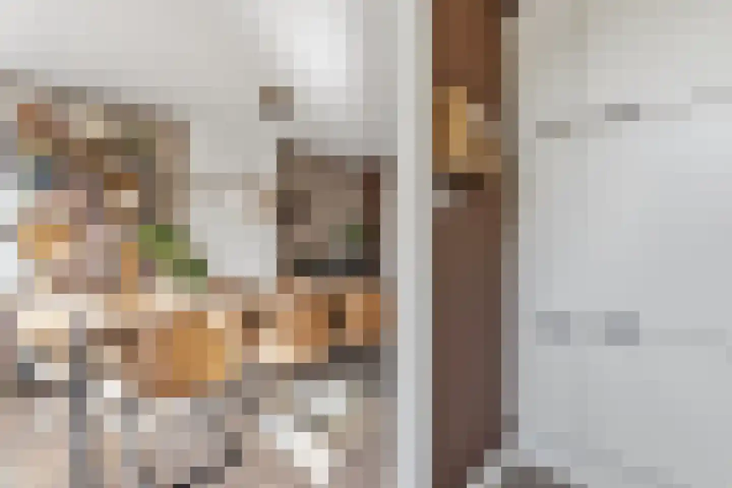 Schwerinkade 37 Den Haag thumbnail 18