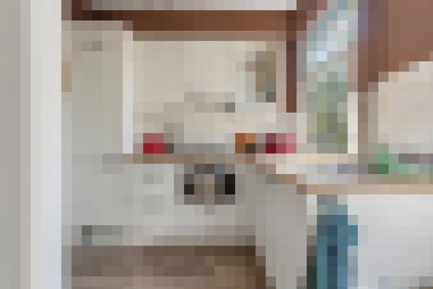 Schwerinkade 37 Den Haag thumbnail 19