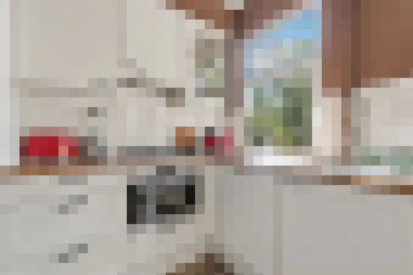 Schwerinkade 37 Den Haag thumbnail 20