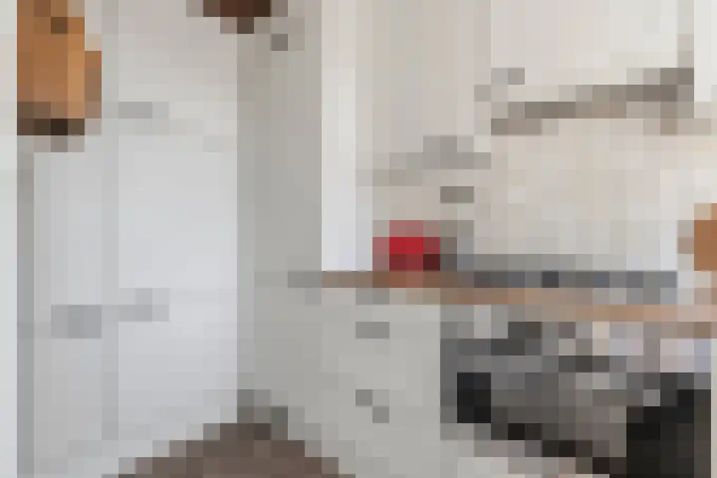 Schwerinkade 37 Den Haag thumbnail 22