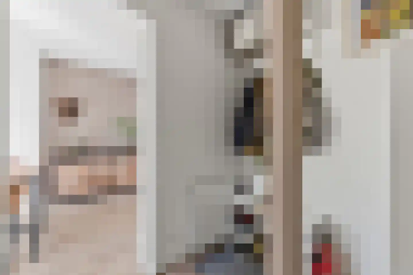 Schwerinkade 37 Den Haag thumbnail 28