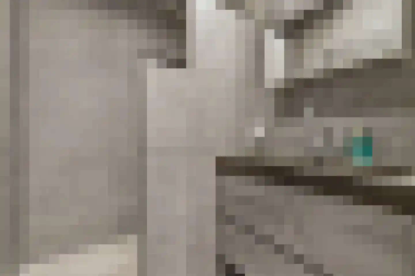 Schwerinkade 37 Den Haag thumbnail 36