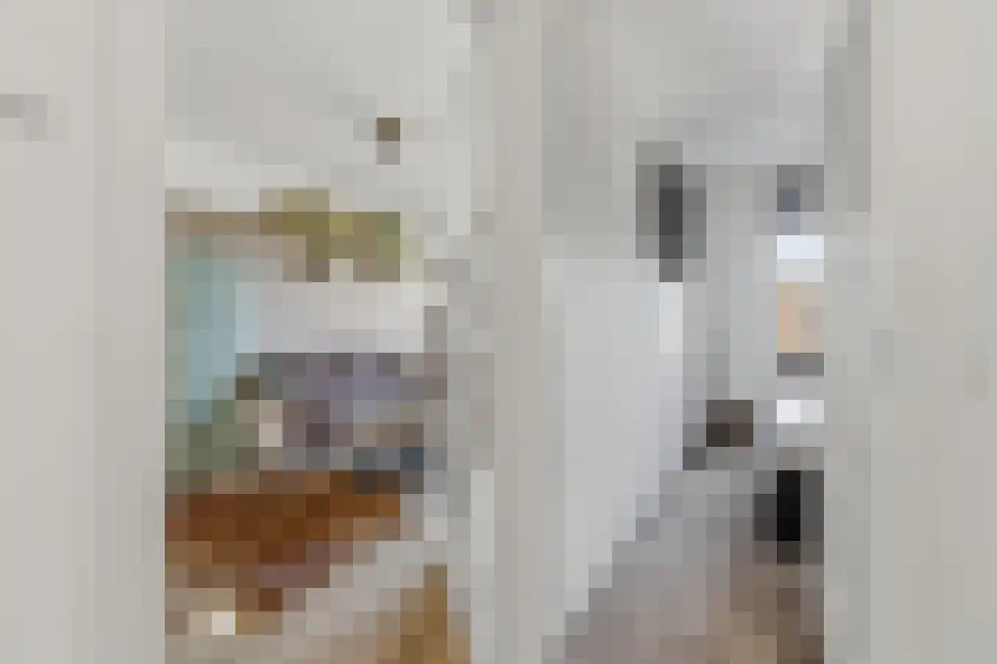 Schwerinkade 37 Den Haag thumbnail 43