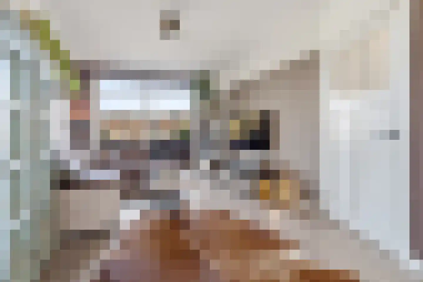 Schwerinkade 37 Den Haag thumbnail 5
