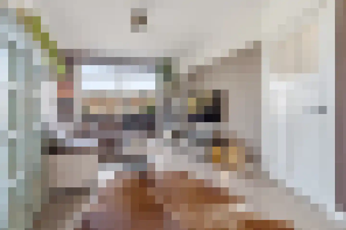 Schwerinkade 37 Den Haag thumbnail 7