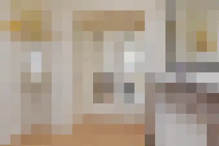 Schwerinkade 46 Den Haag thumbnail 16