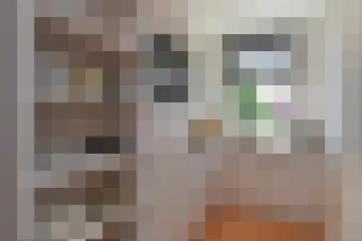 Schwerinkade 46 Den Haag thumbnail 17