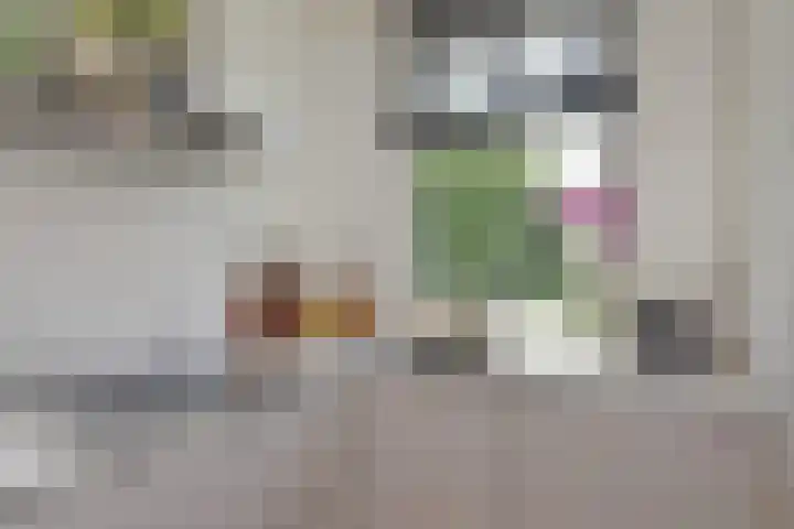 Schwerinkade 46 Den Haag thumbnail 18