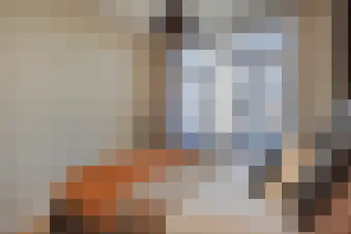 Schwerinkade 46 Den Haag thumbnail 22